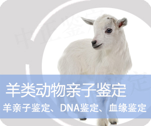 曲靖羊类动物亲子鉴定