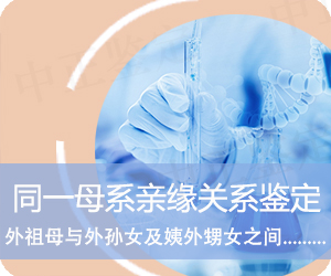曲靖同一母系亲缘关系鉴定