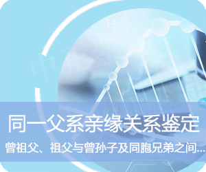 曲靖同一父系亲缘鉴定