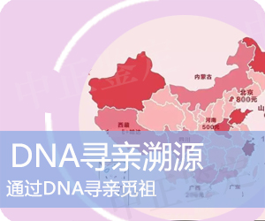 曲靖DNA寻亲溯源